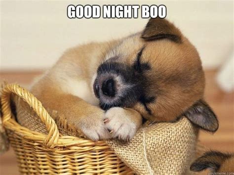 101 Good Night Memes For When You Want Funny Goodnight Wishes Cute