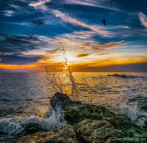 Wallpaper Sunlight Birds Sunset Sea Rock Nature Shore