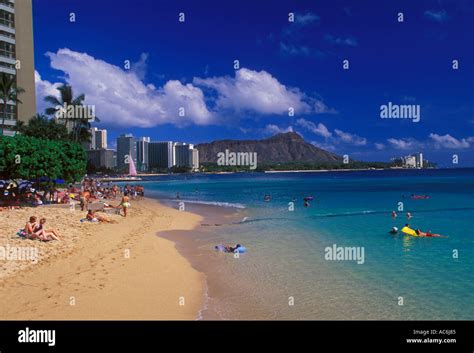 People Tourists Sunbathers Sunbathing Hotels Swimming Waikiki Beach