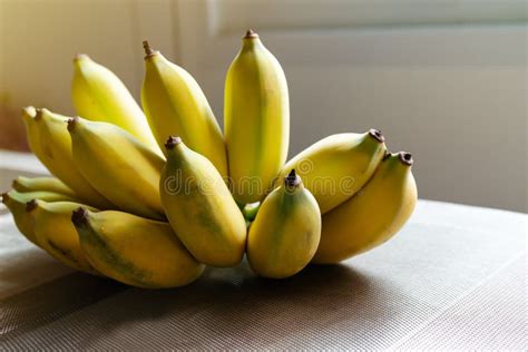 Raw Organic Bunch Of Yellow Bananas Ready To Eat Stock Image Image Of