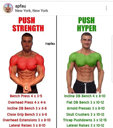 Purposeful Explained Muscle Building For Skinny Guys Look At This Now