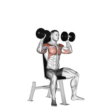 9 Best Dumbbell Push Exercises With Pictures Inspire Us