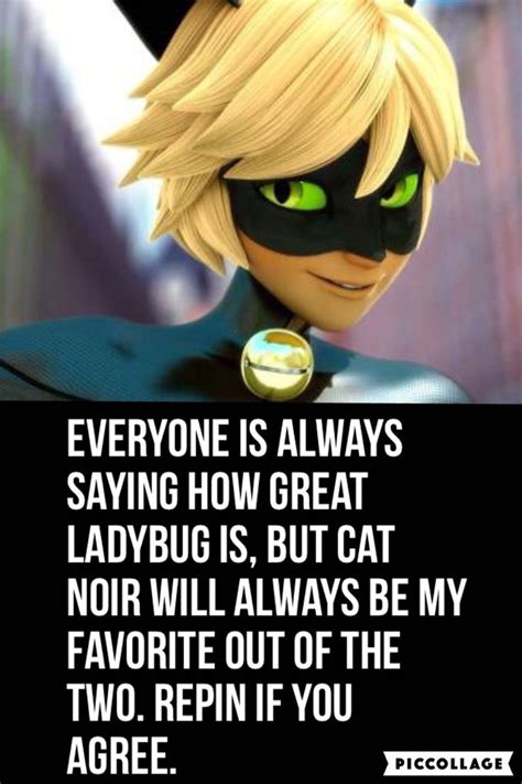 Cat Noir In Miraculous Ladybug Movie Miraculous Ladybug Memes Sexiezpicz Web Porn