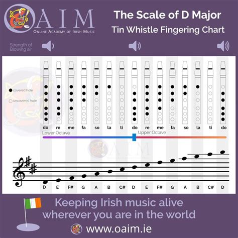 How To Play The Scale Of D Major On The Tin Whistle Tin Whistle