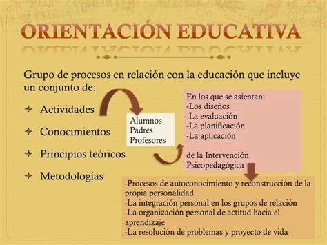 La Verdadera Importancia De La Orientación Educativa La OrientaciÓn