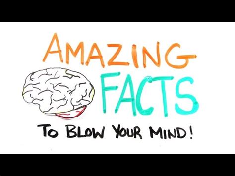 Amazing Mind Blowing Facts 3 The Awesomer