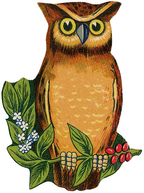 Instant Download Clipart Set 13 Vintage Owls And Other Birds Graphics