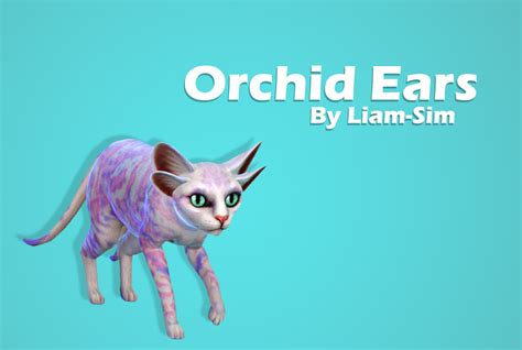 Liam Sim You Loved It So I Made It Orchid Ts4 Pets Cc Finds