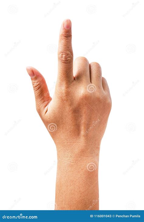 Woman Hand Showing The One Fingers Stock Image Image Of Clicking
