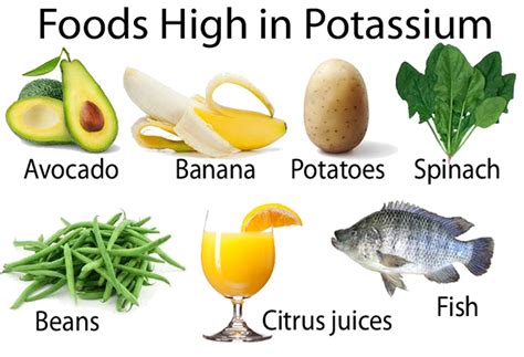 High Potassium Foods To Maintain Normal Blood Pressure Rijals Blog