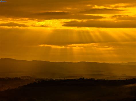 Der himmel war gelb wie messing und noch nicht verqualmt vom rauch der schornsteine. Gelb Himmel