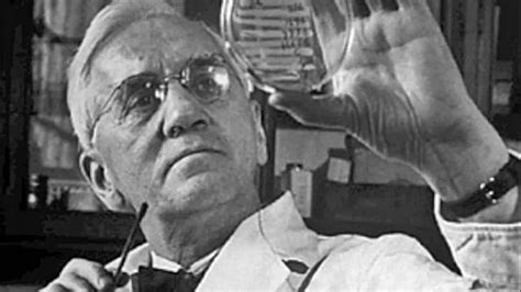 C Mo Se Descurbri La Penicilina Historia De Alexander Fleming