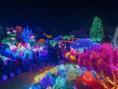 How To See The Garden Of Morning Calm Lighting Festival In Winter 2022