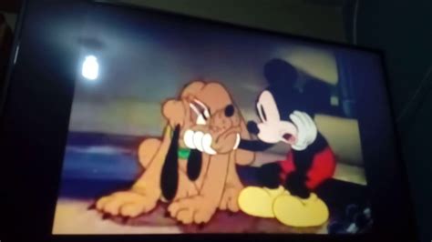 Mickey Mouse Society Dog Show Youtube