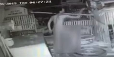 viral video pria bugil diduga maling ayam terekam cctv