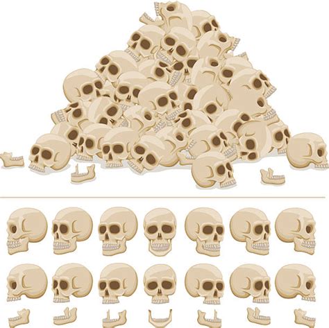 2100 Piles Of Human Bones Stock Photos Pictures And Royalty Free