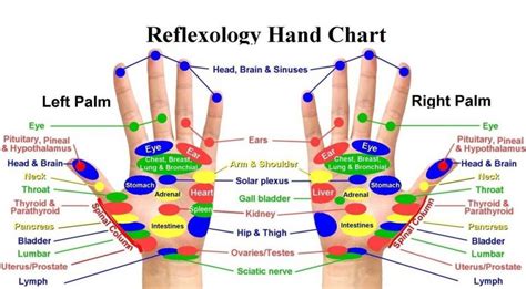 Hand Reflexology The Ultimate Guide To Hand Reflexology Mindbodypal