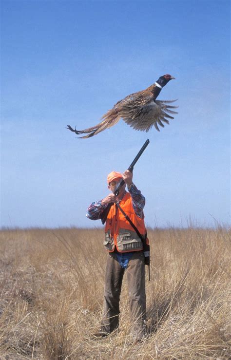 18 Best Upland Hunting Images On Pinterest Hunting Pheasant Hunting