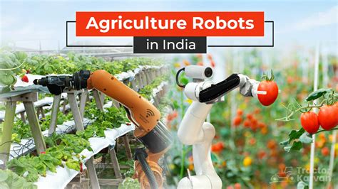Agriculture Robots In India Their Types And Benefits