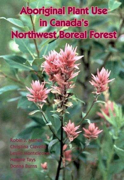 Aboriginal Plant Use In Canadas Northwest Boreal Forest Boreal