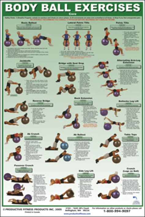 Exercise Charts For Stability Ball Balance Ball Swiss