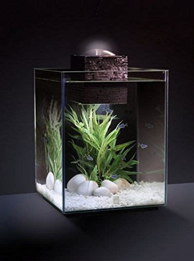 Unique Fish Tanks Ideas For Your Betta Fish Tank Fish Tank Design