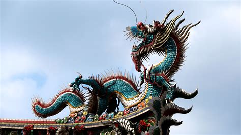 China Dragon Odin