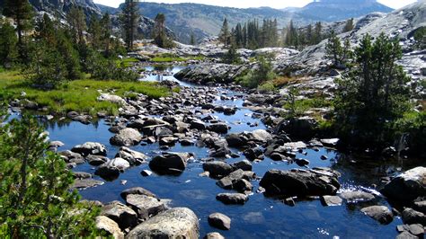 Letting The Water Flow In The San Joaquin