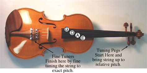 Finer tuners are little screws on the bridge that pull the strings taut with every clockwise turn. Tuning the Violin Part 2