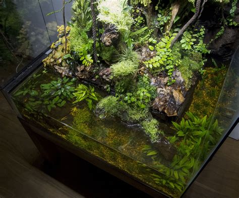 Flickrpmezr9n Img9692 Gecko Terrarium Fish Tank