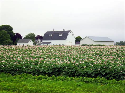 Discover the glenburn median home price, income, schools, and more. Farms For Sale In Maine | Homes With Agricultural Land.