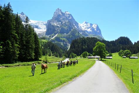 Szwajcaria słynie z pięknych krajobrazów, luksusu, zegarków, czekolady, sera i banków, jednak jest szwajcaria: Zdjęcia: Eiger, -oberland, eiger, SZWAJCARIA