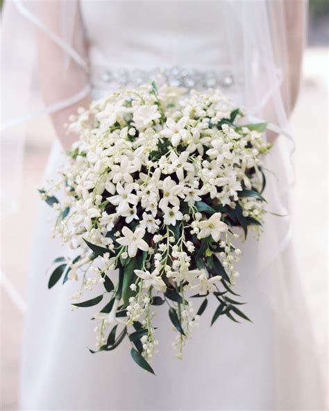 Little White Flowers Used In Bouquets 30 Types Of White Flowers With
