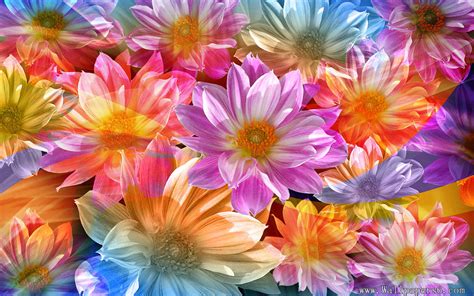 🔥 48 Beautiful Flowers Wallpapers Free Download Wallpapersafari