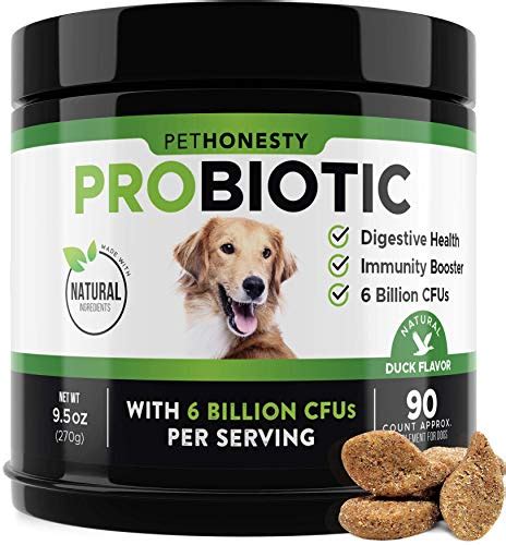 Top 10 Best Digestive Probiotic For Dogs In 2023 Reviews By Experts