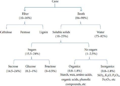 Value Added Products Generation From Sugarcane Bagasse And Its Impact