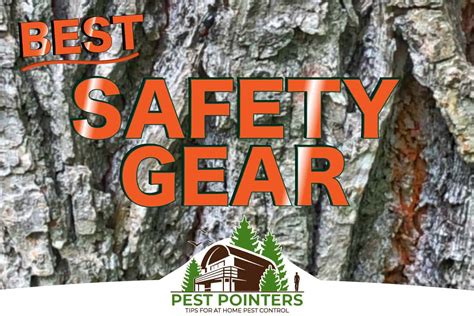 The object of the minigame is to protect a void knight from attacking monsters. Best Saftey Gear - Pest Pointers: Tips for at home pest ...