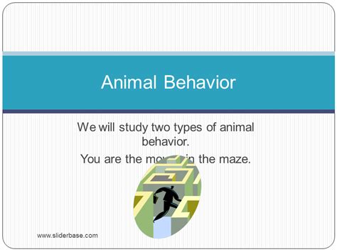 Animal Behavior Powerpoint Presentation Plants Animals And Ecosystems