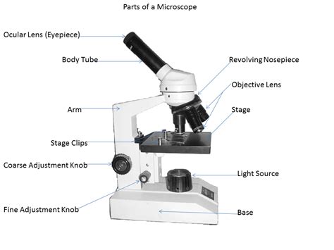Mrs Conners Science Place Microscope Parts