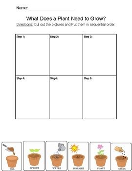 Our free science worksheets are great for everybody! 2nd Grade Plants Science Worksheet by Antoinette Chow | TpT