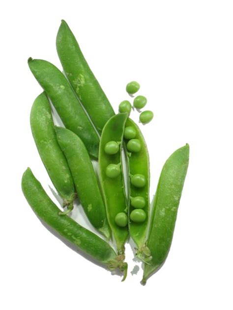 English Pea Natures Produce
