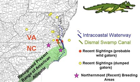 Alligators In North Carolina Map Map Of The World