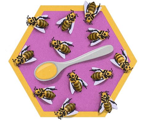 How Do Bees Make Honey Bbc Science Focus Magazine