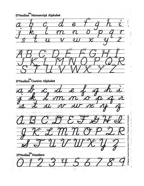 D Nealian Cursive Alphabet Printable AlphabetWorksheetsFree Com