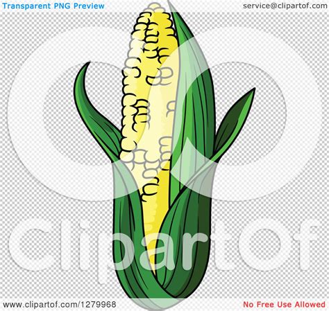 clipart-of-a-fresh-corn-on-the-cob-royalty-free-vector-illustration-by-vector-tradition-sm