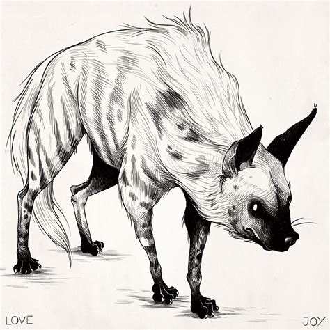 Sunday Evening Aardwolf Study I Love How Weird And Wirey These Guys