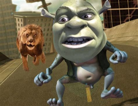 Mrshrek Face Swap Online