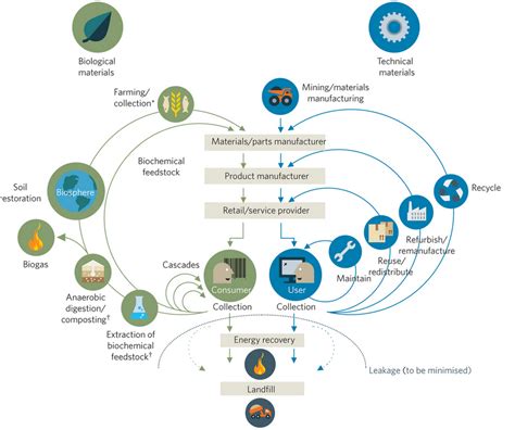 Peak Resources Circular Economy Biomimicry