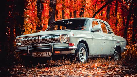 Wallpaper Trees Forest Fall Leaves Nature Vintage Russian Cars