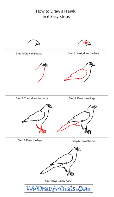 How submit your stuff in this group ? Bits and Pieces From My Life: We Draw Animals Tutorial